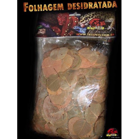 Folhagem Desidratada 