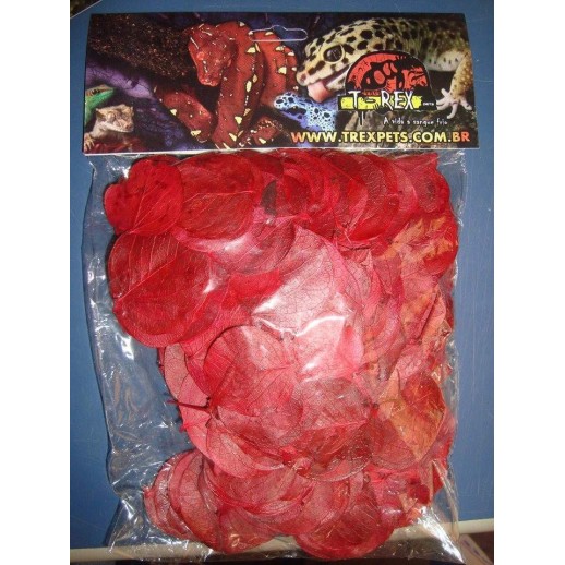 Folhagem Desidratada 