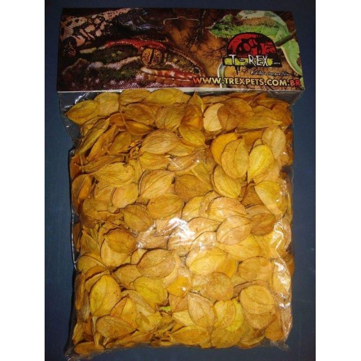 Folhagem Desidratada 03