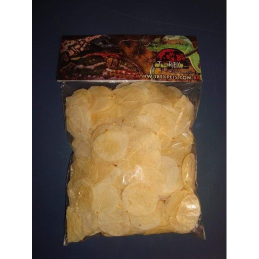 Folhagem Desidratada 08