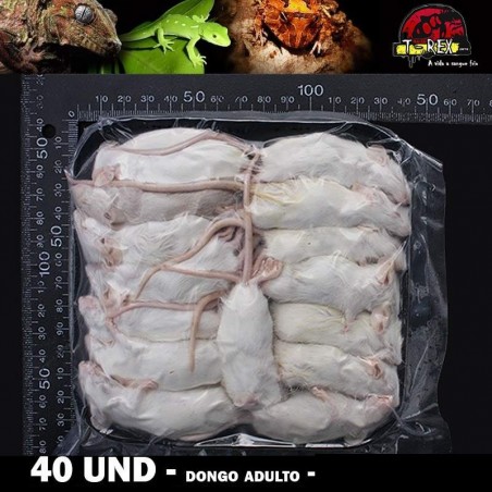 onde comprar camundongos para cobra
