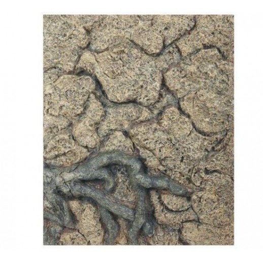 Background 3d Terrário/Aquário IV