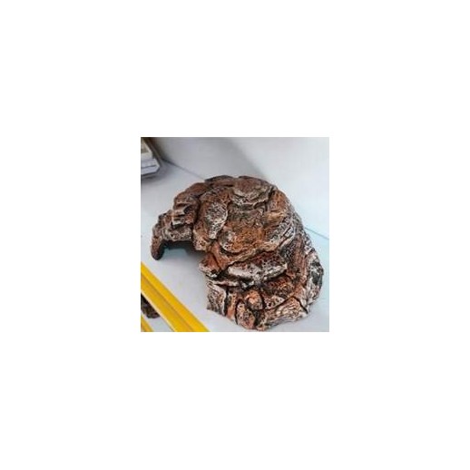 toca grande para jabuti