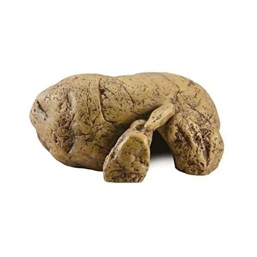 toca para repteis exoterra