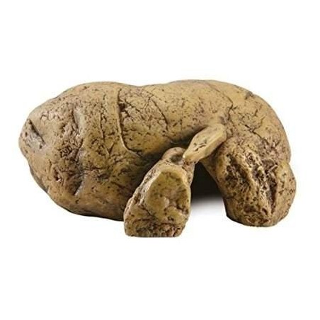 toca para repteis exoterra