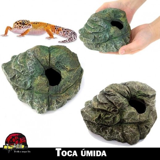 Toca ovos de repteis