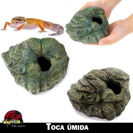 Toca para desova repteis