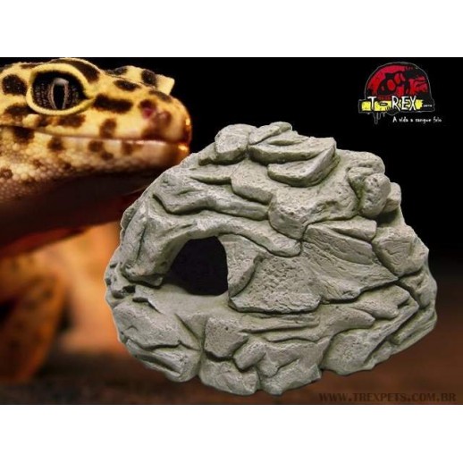 Toca úmida para Répteis