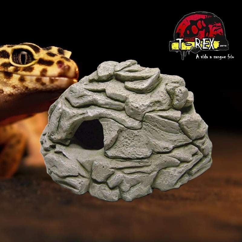 Toca umida para Répteis