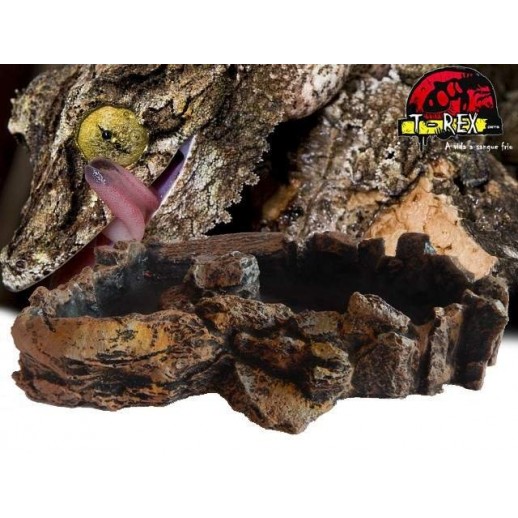 Boulder Corner Water Dish XL Répteis | Iguana