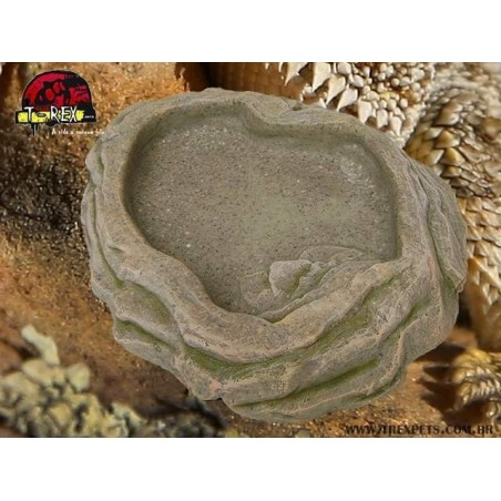 Lago | Bebedouro  XXG| Iguana | Dragão | Gecko