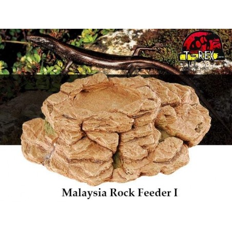 Worm Dish Répteis | Terrário | Pogona | Gecko