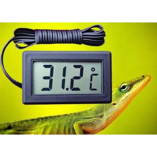 Termômetro para Terrário Répteis