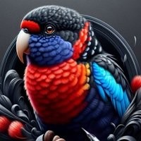 Comedouro e Bebedouro para Aves - Encontre Aqui na Nossa Loja!